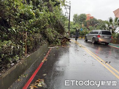 快訊／雨彈轟炸一夜！新北淡水路樹倒塌　單線雙向通行