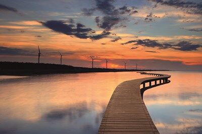 網傳高美濕地遭回填「世紀之毒」戴奧辛　環保局澄清：未檢出