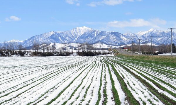 ▲▼北海道伴手禮。（圖／CJ夫人授權提供）