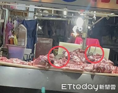 超巨老鼠實現吃肉自由！豬肉攤上大口啃肉　民眾嚇壞：隔天正常賣
