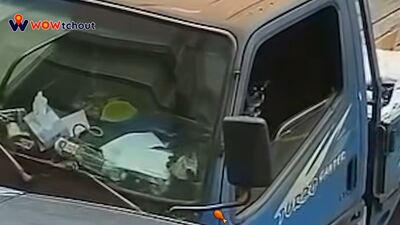 無人貨車撞路邊車！駕駛座上是隻吉娃娃　眼神無辜：不是我
