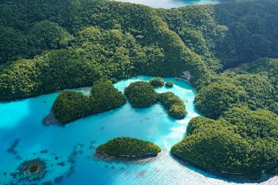 台灣人打造「帛琉再生旅遊新玩法」