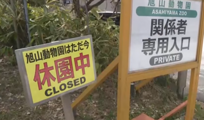 日人妻遇害! 前員工曝「動物園焚化爐」恐怖威力:連骨頭都不剩