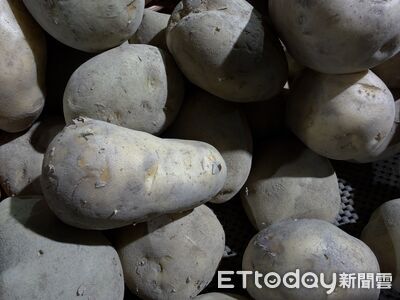 網傳「高雄數十人馬鈴薯中毒」　衛生局駁斥：假消息已法辦