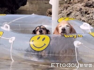 游泳好累！二汪頭饋小船「睡到漂走」　看見媽還在又躺回去