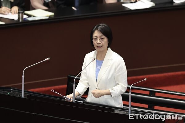 對總統提出彈劾案全院委員會聽證會,立委翁曉玲     。（圖／記者徐文彬攝）