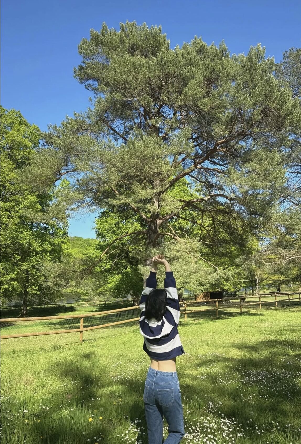 ▲▼宋慧喬             。（圖／翻攝IG）