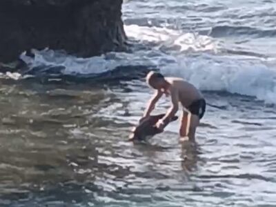 中國籍遊客小琉球抓海龜　被逮捕喊「牠被海浪拍過來」最重可關1年