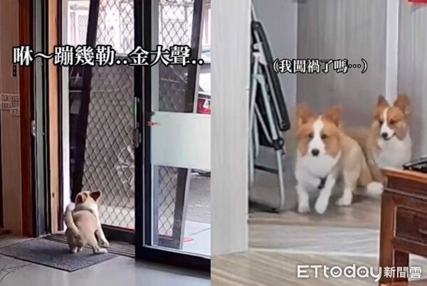 ▲。（圖／Thraeds@doooyeooog提供，請勿隨意翻拍，以免侵權。）