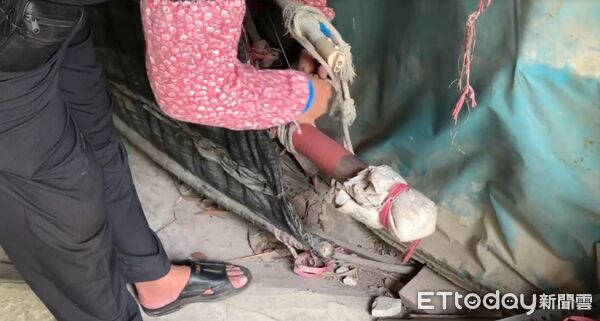 ▲台南左鎮二寮里發生一家三口陳屍住處事件，警方封鎖現場調查，卻傳出意外起獲26萬元現金。（記者林東良翻攝，下同）