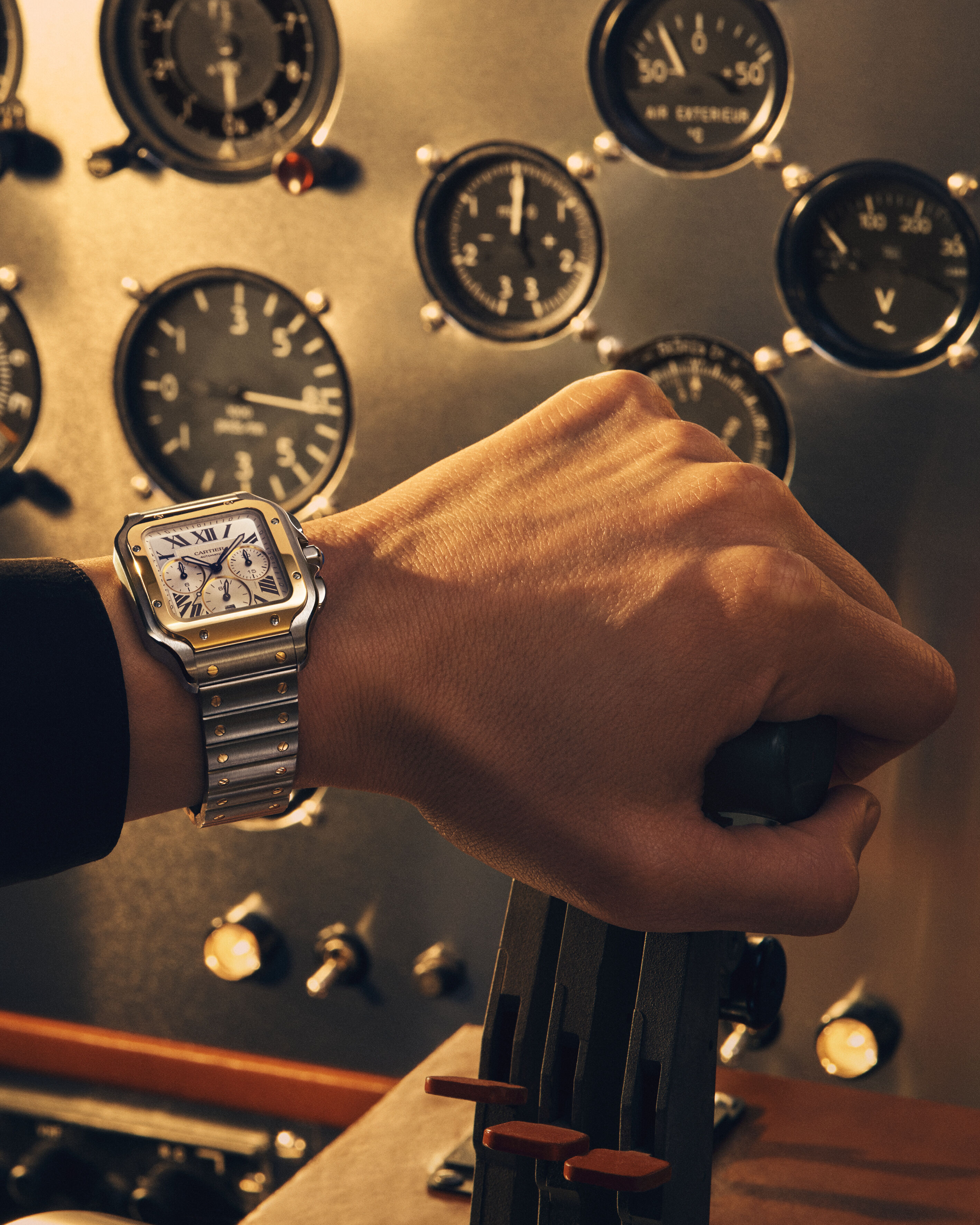 ▲▼Cartier AD             。（圖／公關照）