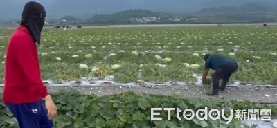 玉里警分局自製「護瓜防竊影片」　2所長扮賊被逮吸睛