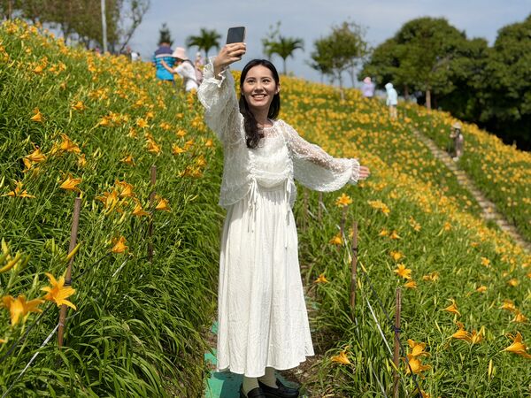 ▲彰化花壇虎山巖超過20萬朵金針花盛開。（圖／參山處提供）