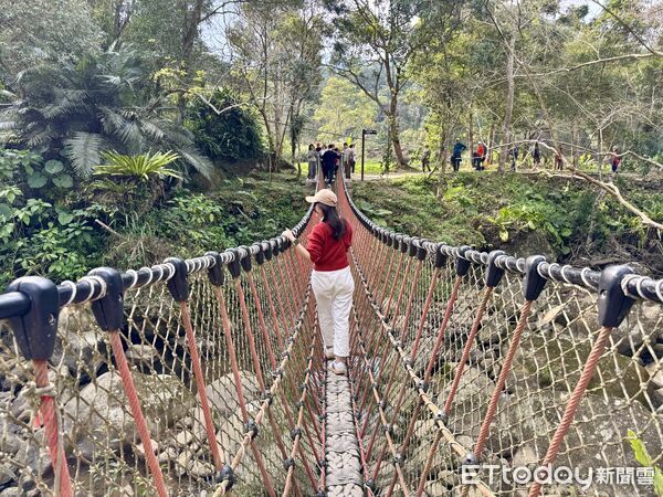 ▲高遶溪古圳步道,高遶溪,桃園旅遊,復興區旅遊,羅浮旅遊。（圖／記者彭懷玉攝）