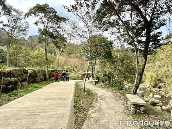 ▲高遶溪古圳步道,高遶溪,桃園旅遊,復興區旅遊,羅浮旅遊。（圖／記者彭懷玉攝）