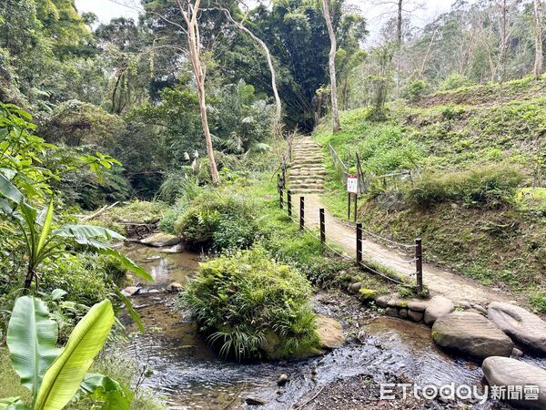 ▲高遶溪古圳步道,高遶溪,桃園旅遊,復興區旅遊,羅浮旅遊。（圖／記者彭懷玉攝）