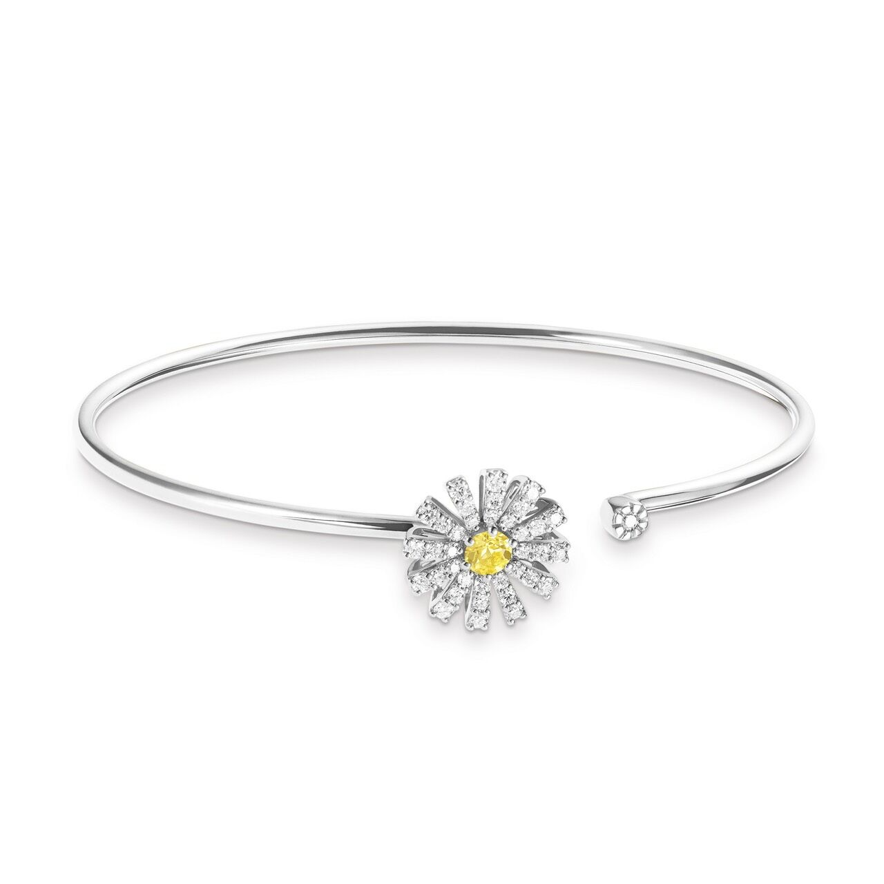 ▲▼Damiani,Jacob & Co.             。（圖／公關照）