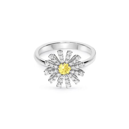 ▲▼Damiani,Jacob & Co.             。（圖／公關照）