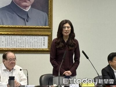 季麟連嗆開除韓國瑜 深藍黨員怒衝國民黨抗議:鄭麗文去吃X!