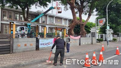 百年茄冬迎風整枝　關山分局提前整備強化公共安全