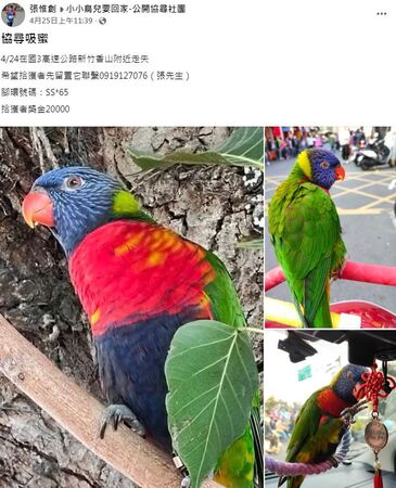 ▲。（圖／翻攝自Facebook／小小鳥兒要回家-公開協尋社團）