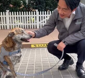 陳佩琪諷「殘障三腳狗」網傻眼 賴清德PO斑斑影片幫秀秀