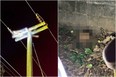 火光一閃「頭顱墜地」!泰男失控爬高壓電塔慘死 驚悚瞬間曝