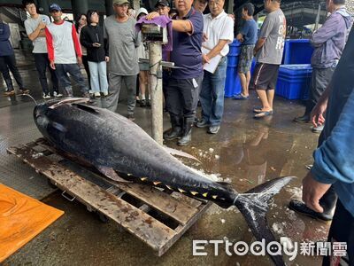 台東黑鮪魚季開跑「盛泰豐號」奪首尾彩頭　抱回20萬彩金