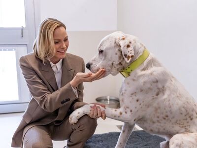 摩納哥王妃西裝上身揭幕動物收容所　抱犬貓露寵溺之情