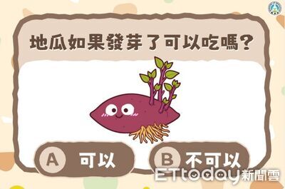 地瓜發芽可以吃！教育部解惑「不像馬鈴薯有毒」　只是口感變差