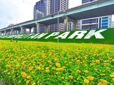 新北大都會公園3公頃花海綻放　黃頭扇尾鶯現身吸引攝影潮