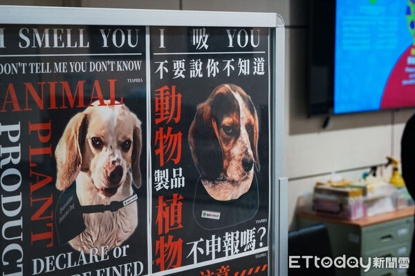 ▲▼海關防疫犬。（示意圖／ETtoday資料照）