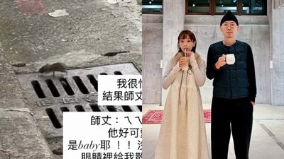 張菲媳街頭遇鼠嚇瘋！　老公張少懷反拉她看：好可愛
