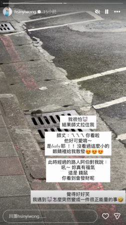 ▲▼老鼠,翁馨儀,張少懷。（圖／翻攝自Instagram／hsinyiwong）
