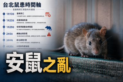 北市「安鼠之亂」時間軸一次看 4個月從首例死亡燒到全市清消