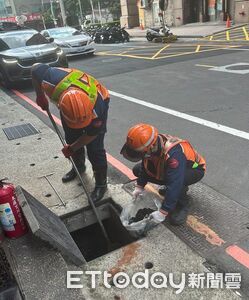 新北防漢他!列管77座市場防鼠 落實每日收攤即清、廚餘不落地
