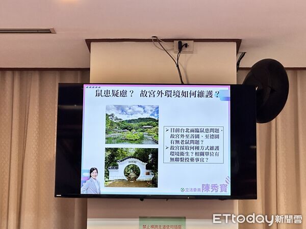 ▲▼立委陳秀寶關切鼠患議題。（圖／記者林育綾攝）