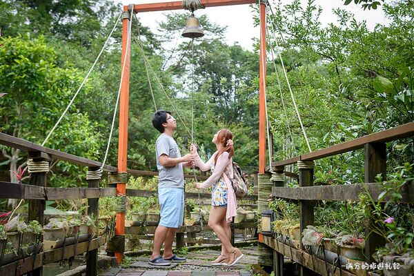 ▲▼坪林景點一日遊。（圖／部落客滿分的旅遊札記授權提供）