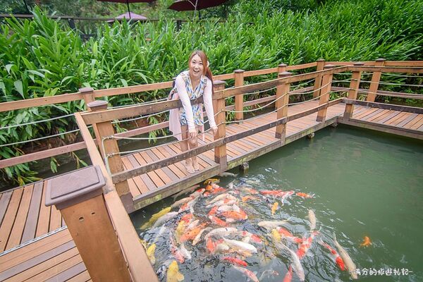 ▲▼坪林景點一日遊。（圖／部落客滿分的旅遊札記授權提供）