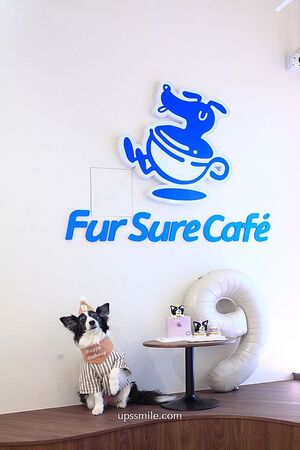 ▲▼Fur Sure Caf&rsquo;e。（圖／部落客UPSSMILE向上的微笑萍子 旅食設影授權提供）