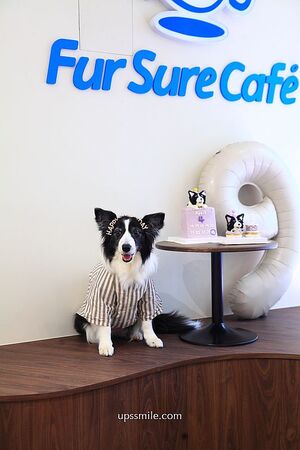▲▼Fur Sure Caf&rsquo;e。（圖／部落客UPSSMILE向上的微笑萍子 旅食設影授權提供）