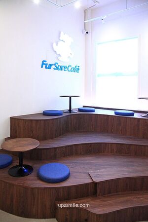 ▲▼Fur Sure Caf&rsquo;e。（圖／部落客UPSSMILE向上的微笑萍子 旅食設影授權提供）