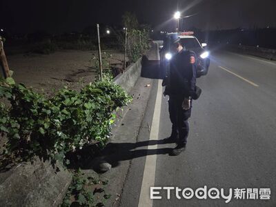 「1團黑影詭異移動」竟是陸龜超慢速過馬路 東港警開燈解危