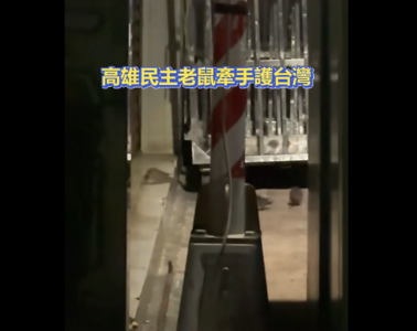 反擊!親藍粉專貼「高雄鼠群亂竄影片」 大酸應該趕到高鐵回台北了