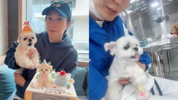 ▲▼愛犬確診肺水腫、心臟病　SJ利特暴瘦痛喊：就像人被泡在水裡呼吸。（圖／翻攝自利特IG、YouTube）