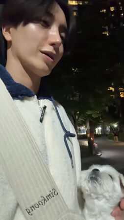 ▲▼愛犬確診肺水腫、心臟病　SJ利特暴瘦痛喊：就像人被泡在水裡呼吸。（圖／翻攝自利特IG、YouTube）