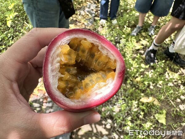 ▲▼家樂福契作高雄美濃的履歷百香果。（圖／記者林育綾攝）