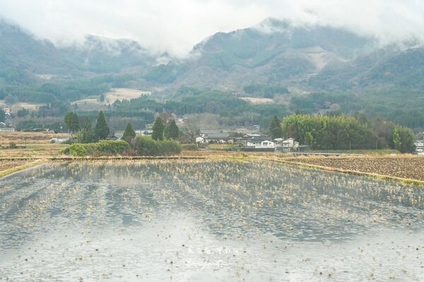 ▲▼南阿蘇鐵道。（圖／部落客周花花授權提供）