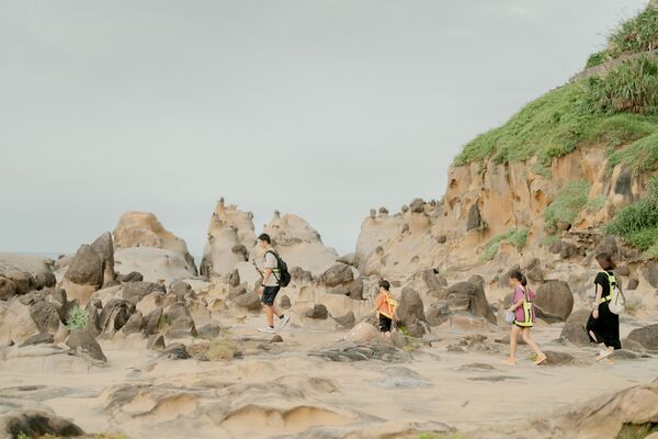 ▲和平島地質公園適逢百合盛開，並於5月9日至5月10日推出「準媽媽」免費入園優惠。（圖／和平島地質公園提供）