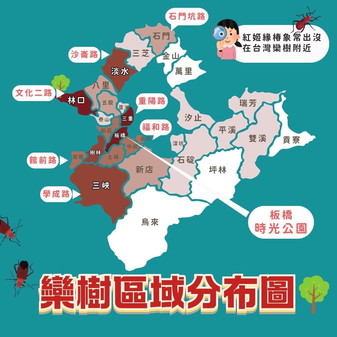 ▲▼蘆洲紅蟲大軍吸樹汁。（圖／新北農業局）
